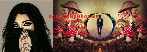 гашиш Заводоуковск